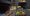 microsoft hololens minecraft