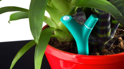parrot-flower-power