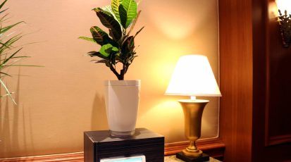parrot-pot-ces15