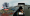 Periscope Live 360