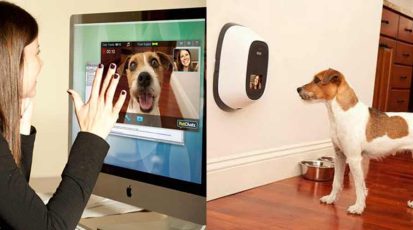 videobellen met jouw huisdier via PetChatz