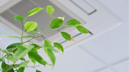 Luchtkwaliteit, groen, planten