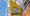 Zeeman tweedehands kleding