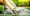 shutterstock_210331123