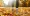Foto: Shutterstock