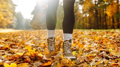shutterstock_2495683669 Foto: Shutterstock