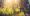 shutterstock_608739416