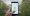 Android Q