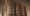 silos_numrush
