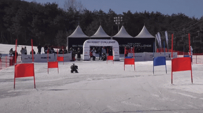 ski-robot