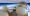 supersonic-jet-livestream-windows