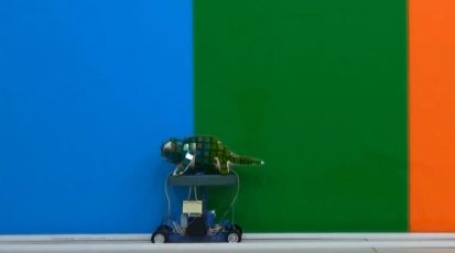 tnc160205_chameleon_1280.jpg.CROP.promo-xlarge2