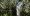 vC_MG_0024_sRGB